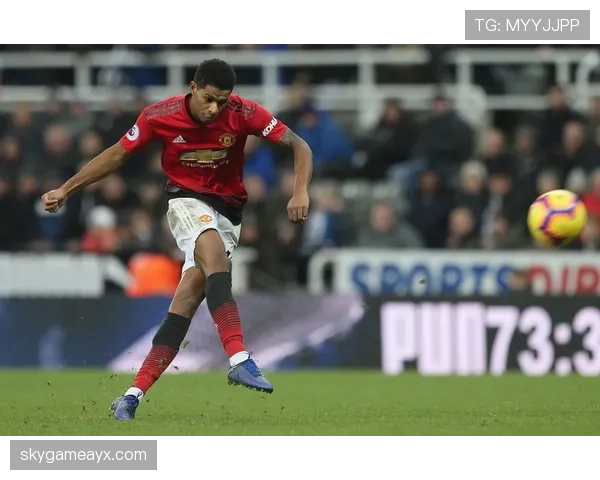 布莱顿强势反弹，状态火热剑指欧战资格