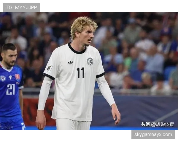 欧洲杯预选赛归化球员表现稳健，多队竞争力增强